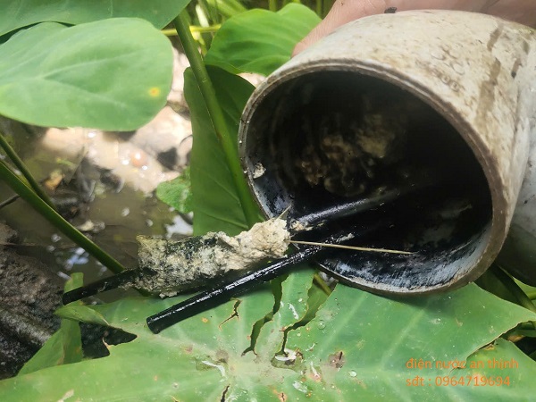 đường cống bị mắc đủa tại gio linh